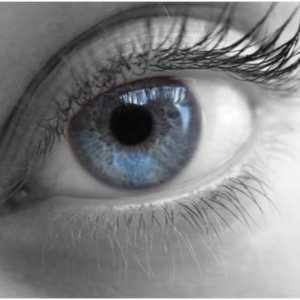 Co je potřeba gymnastiku pro oči, jak zlepšit zrak