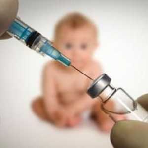 Co je potřeba dětské očkování v roce?