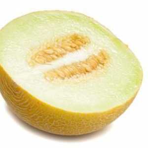 Jaký má vlastnosti meloun?