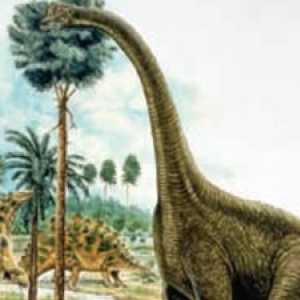 Каким был травоядный динозавр
