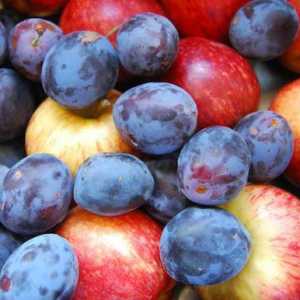 Kompot ze švestek a jablek na zimu: jednoduché recepty