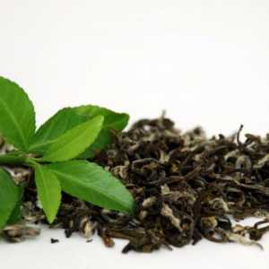 Kdo je kontraindikován v zeleném čaji? Zelený čaj: výhody a škody