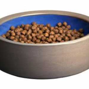 Krmivo pro psy Prémiové: Hodnocení. Co je suché krmivo s prémií?