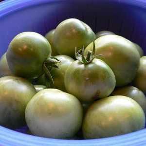 Nakládané zelená rajčata plněné: recept