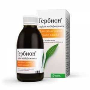 Medicine „Gerbion“ (sirup jitrocel): návod k použití