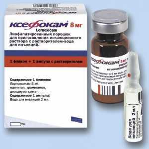 Medicine "Ksefokam" (injekce): Návod k použití, indikace, kontraindikace