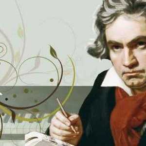 Ludwig van Beethoven práce