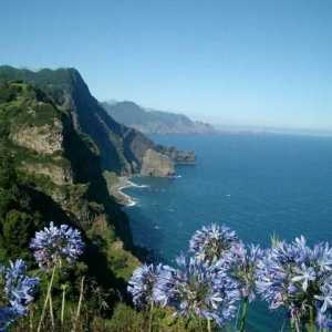 Madeira. Recenzí tohoto prosperující ostrov