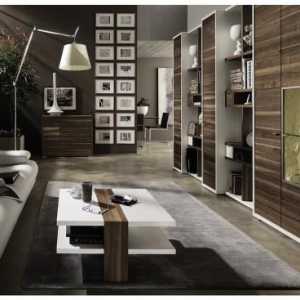 Nábytek pro obývací pokoj zdi: vytvoření designu místnosti