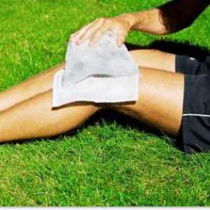 Menisků kolenního kloubu: poškození a léčba