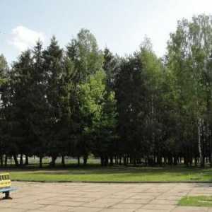 Mogilev sanatorium "Pine": fotografie a recenze