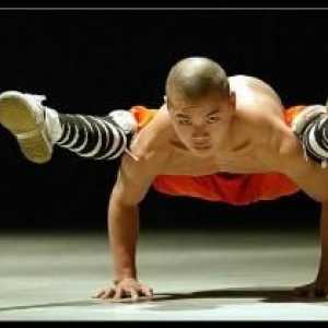 Shaolin Monks: Kdo jsou ve skutečnosti?