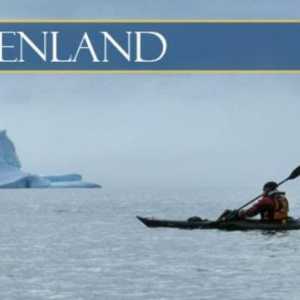 Море Гренландское: описание, расположение, температура воды и животный мир