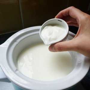 „Narine“ (droždí) návod k použití bakterií mléčného kvašení v domácnosti