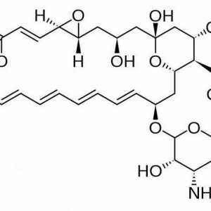 „Natamycin“: návod k použití. Masti, čípky a tablety…