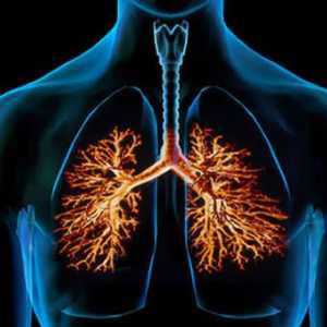 Nenechte si ujít příznaky chronické bronchitidy!