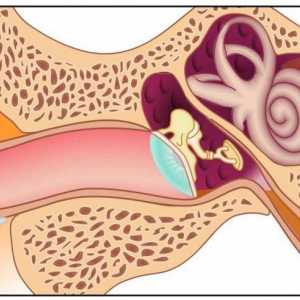 Percepční ztráty sluchu: Příčiny a léčba
