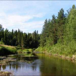 Nižnij Novgorod region: parků a přírodních rezervací. Rezervy kraje Nižnij Novgorod: Kerzhensky,…