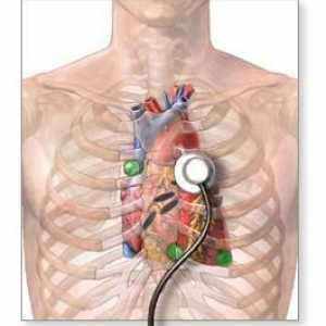 Vyšetření srdce. Ultrazvuk srdce: to ukazuje? Methods Survey Heart
