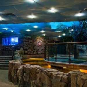 Aquarium of the Pacific v dálnice Dmitrov v Moskvě