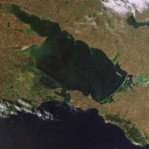 Описание Азовского моря: площадь, глубина и животный мир