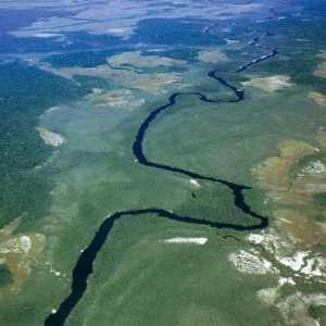 Описание, характеристики, фото реки Ориноко