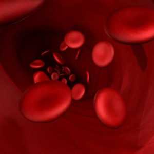Stanovení krevních skupin krevních rodičů dítěte - proč je to nutné?