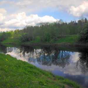 Oredezh - řeka v Leningradské oblasti. Přítoky a geografické rysy vodního toku. Rybolov a cestovní…
