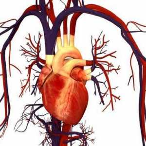 Akutní cévní nedostatečnost: příčiny, příznaky a pravidla první pomoci