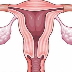 Akutní salpingo - vážné gynekologické onemocnění