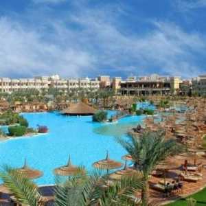 Hotely v Egyptě. „Albatros“ - ideální volbou