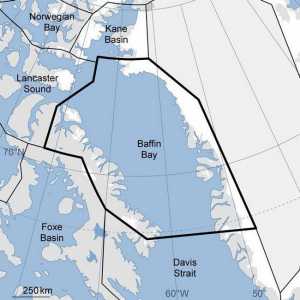 Открытие Уильяма Баффина - море Арктического бассейна, омывающее западное побережье Гренландии