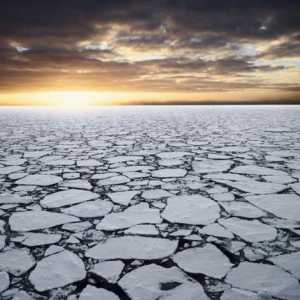 Паковые льды: особенности, формирование, распространение
