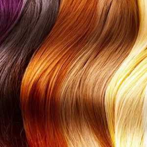 Paleta barev barev na vlasy: je vybaven tónovou volbou