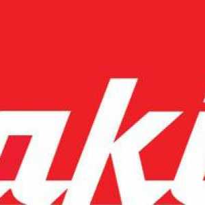 Puncher „Makita“ (MAKITA): volba parametrů, cen, hodnocení a komentáře
