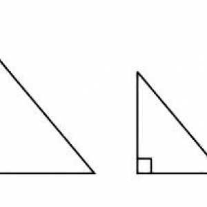Первый признак равенства треугольников. Второй и третий признаки равенства треугольников