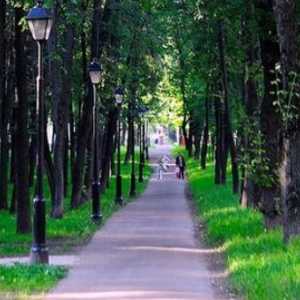 Petrovský Park a jeho zajímavosti