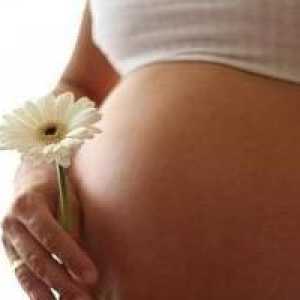 Placenta přední stěně dělohy: příčinou vzrušení, nebo variantu normy?