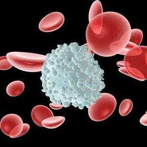 Proto v krevních leukocytů snížen?