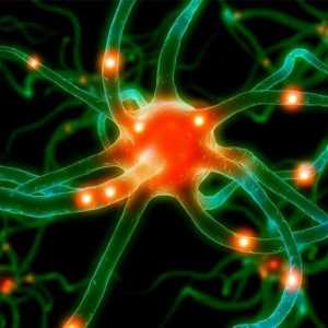 Proč existují nelžetí trojklanného nervu? Příznaky a léčba nemocí
