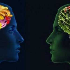 Užitečné produkty pro mozek a paměť