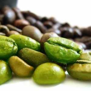 Výhody a kontraindikace: zelená káva není nikdy příliš mnoho?