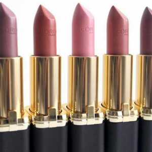 Lipstick "L'Oreal Color Riche" - palety pro krásné dámy