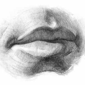 Портрет. Как нарисовать губы карандашом поэтапно?