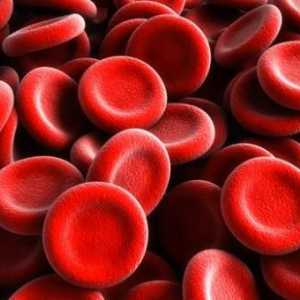 Zvýšené červených krvinek v krvi nebo moči: hlavní důvody