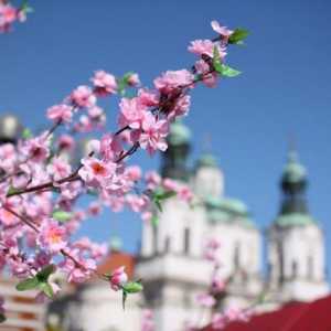 Praha v květnu: počasí a recenze. Co vidět v Praze v květnu?