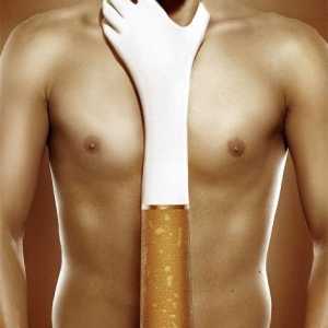 Je pravda, že kouření zabíjí?