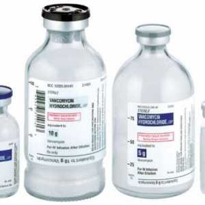 Droga „vankomycinu“: návod k použití