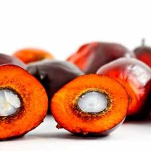 Využívání palmového oleje s přínosy pro zdraví