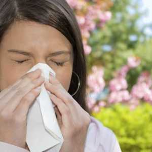 Příznaky alergie u dospělých. jarní alergie